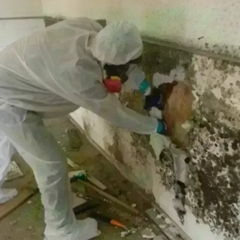 Mold Remediation and Removal in De Leon Springs, FL