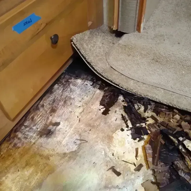 Best Wood Floor Water Damage Service in De Leon Springs, FL